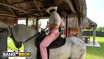 Rachel Starr Mounts A Dildo With Skill And Enthusiasm In Bangbros Video